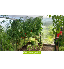 Intérieur de la serre jardin polycarbonate Flora (voile en plafond et carré potager non fournis)