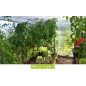 Serre de jardin Flora 9,75 m² Serre de jardin Flora 9,75 m²