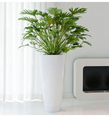 Pot Belle "Essentiel"