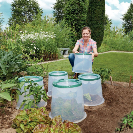 Kit de  culture - 3 cloches