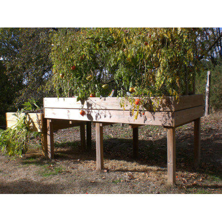 Table potagère TPO04 de 100 x 200 cm x haut.100 de CIHB