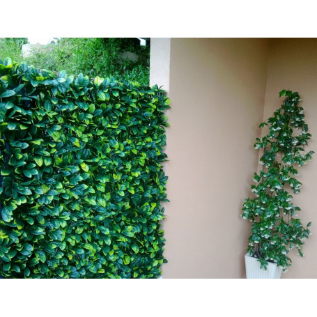 Treillis PVC Extensible imitation feuilles de ROSIER