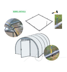 Serre polycarbonate alvéolé Anthéa, 12.80m², de 305 x 420 cm