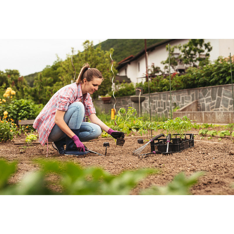 Transplantoir Scandinavia