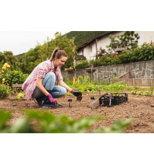 Transplantoir Scandinavia