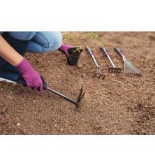 Transplantoir Scandinavia