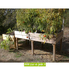 Table potagère TPO04 de 100 x 200cm en situation. Cette table de culture ou potager sur pieds est en bois traité classe 4.