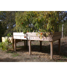Table potagère TPO04 de 100 x 200cm en situation. Cette table de culture ou potager sur pieds est en bois traité classe 4.