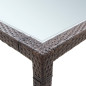 Table à dîner d'extérieur Marron 200x150x74 cm Résine tressée Table à dîner d'extérieur Marron 200x150x74 cm Résine tressée