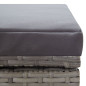 Chaise longue double avec coussin Résine tressée Gris Chaise longue double avec coussin Résine tressée Gris