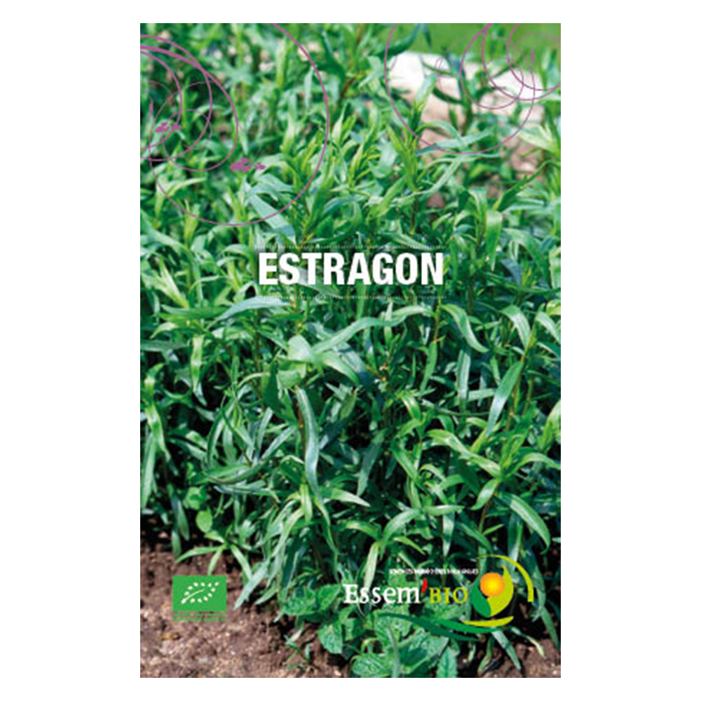 herbe jardin potager méthode BIO 500 Graines d'Estragon plante aromatique