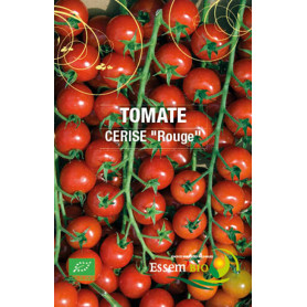 tomates Cerises