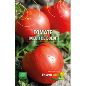 tomates Coeur de boeuf