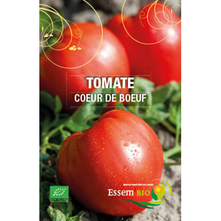 tomates Coeur de boeuf