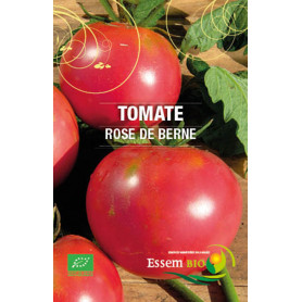 Tomates Rose de Berne