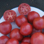 Tomates Rose de Berne