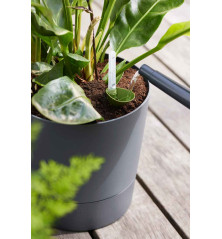 Greensense aqua care - Rond - Gris charbon - 35 cm