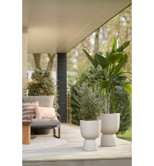 POT pure coupe beige grege