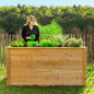 Carré potager surélevé - 170 cm - Bois naturel