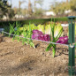 Corde de plantation avec piquets