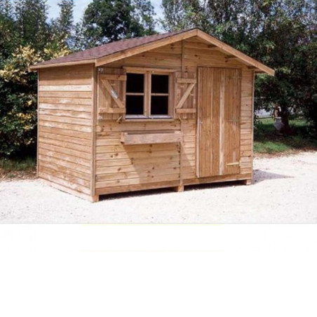Abri bois PERVENCHE de 6m2, ép: 21mm,  (3mx2m)