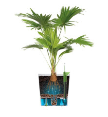 Pot de fleur carré - réserve d'eau et roulettes - 30cm