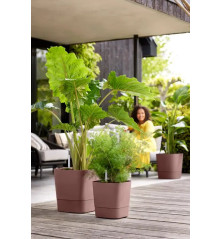 Greensense aqua care - Carré- Terracotta - 30 cm