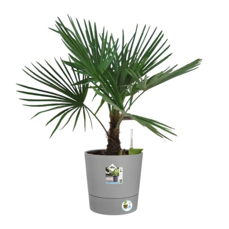 POT de fleur Rond réserve d'eau et roulettes - 35cm
