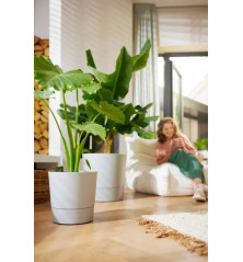 POT de fleur Rond réserve d'eau et roulettes - 35cm