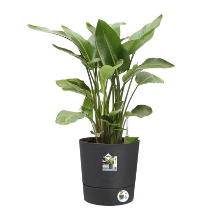 POT de fleur Rond réserve d'eau et roulettes - 43cm