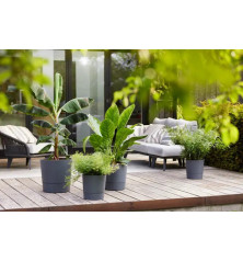 POT de fleur Rond réserve d'eau - Diamètre 35cm