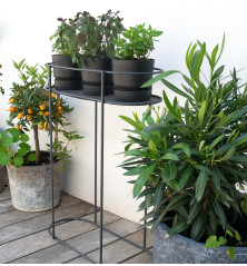 Support Plantes et Aromatiques Sur Pied - Anthracite
