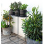 Support Plantes et Aromatiques Sur Pied - Anthracite