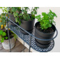 Support Plantes et Aromatiques Sur Pied - Anthracite