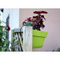 Support Jardinière Classique - Crochets Fer Plat - Anthracite - Taille Au Choix Support Jardinière Classique - Crochets Fer Plat - Anthracite - Taille Au Choix