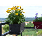Support Jardinière Réglable Fer Plat - Dimension Couleur Au Choix Support Jardinière Réglable Fer Plat - Dimension Couleur Au Choix