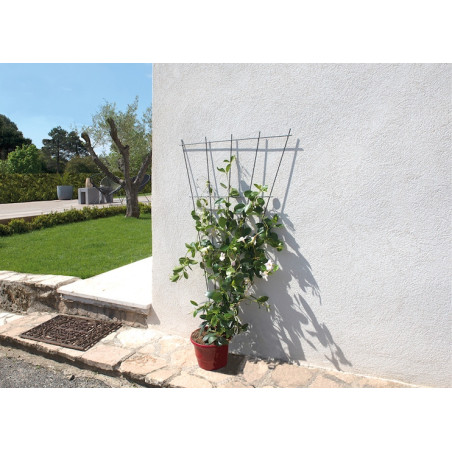 Treillages muraux "Eventail"- Anthracite