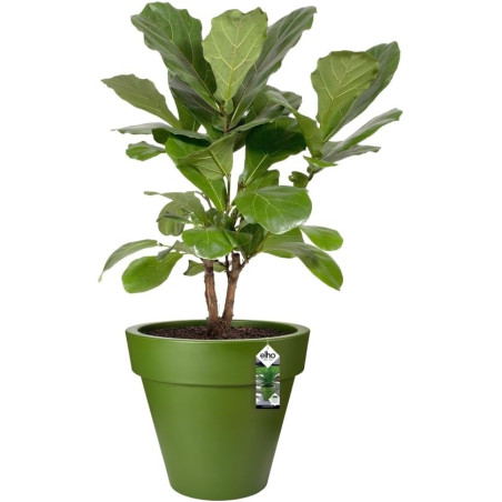 Pure Round Grass - Ø 39 - Vert Sportif