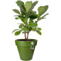 Pure Round Grass - Ø 39 - Vert Sportif