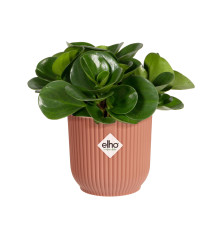 Pot Vibes Fold Rond Mini - 11cm - Couleurs Au Choix