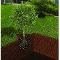 GREEN CUBES - Laine de roche minérale - 2kg GREEN CUBES - Laine de roche minérale - 2kg