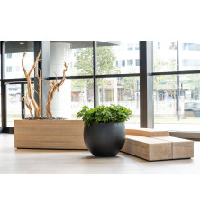 "Natural" - Pot Jumbo Orb - Noir - Dimensions au choix
