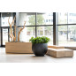 "Natural" - Pot Jumbo Orb - Noir - Dimensions au choix "Natural" - Pot Jumbo Orb - Noir - Dimensions au choix
