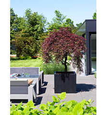 "Natural" - Pot Jumbo - Noir - Dimensions au choix