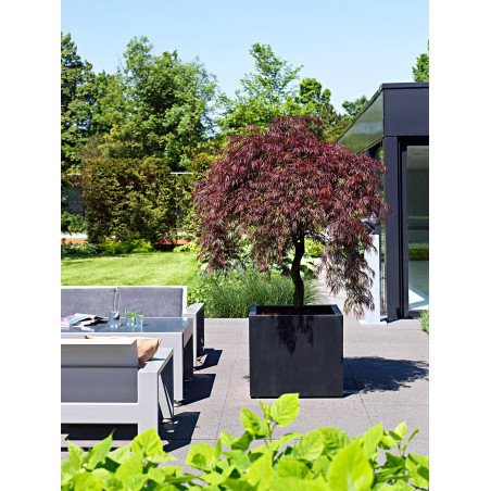"Natural" - Pot Jumbo - Noir - Dimensions au choix