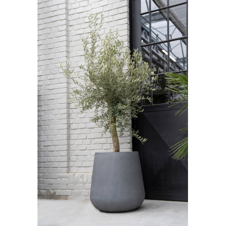 "Natural" - Pot Pax - Gris - Dimensions au choix