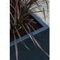 "Natural" - Pot Jumbo Jort - Noir - Dimensions au choix