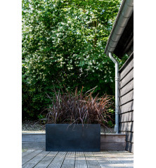 "Natural" - Pot Jumbo Jort - Noir - Dimensions au choix