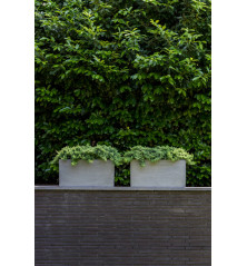 "Natural" - Pot Jumbo Jort - Gris - Dimensions au choix