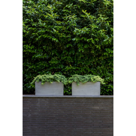 "Natural" - Pot Jumbo Jort - Gris - Dimensions au choix